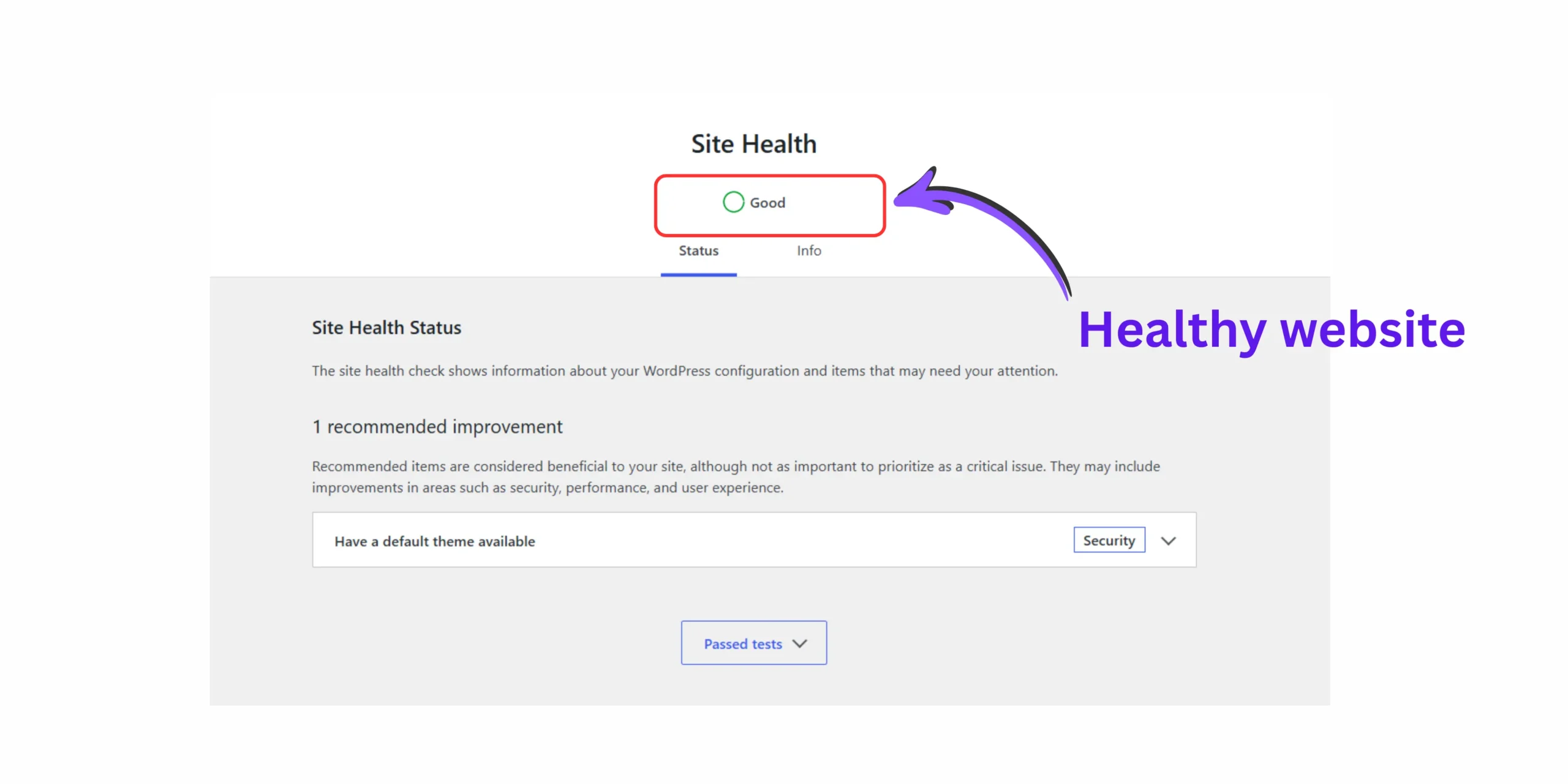 WordPress Site Health dashboard showing website performance and health status before launch.