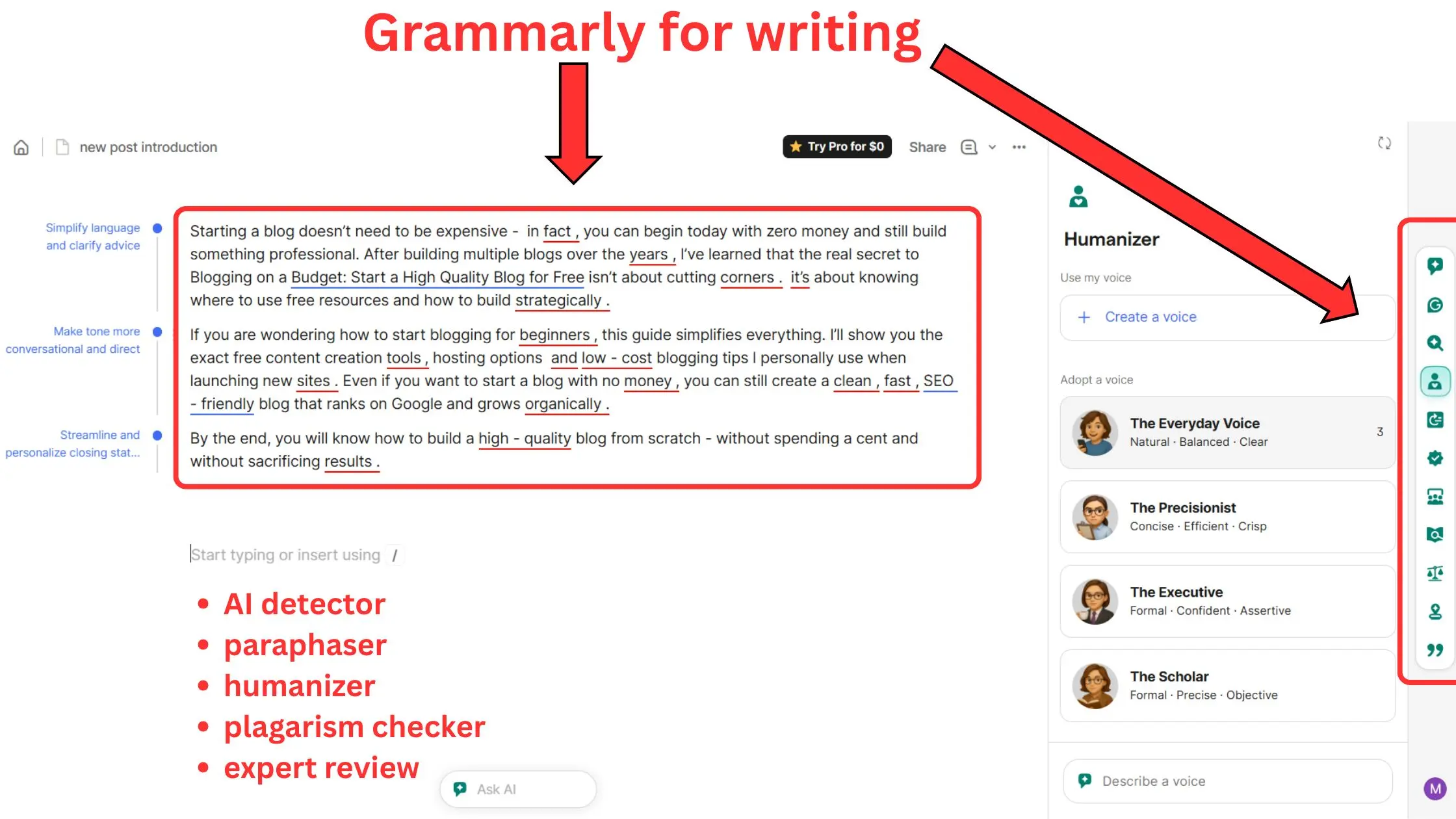 how to start blogging for beginners - Grammarly