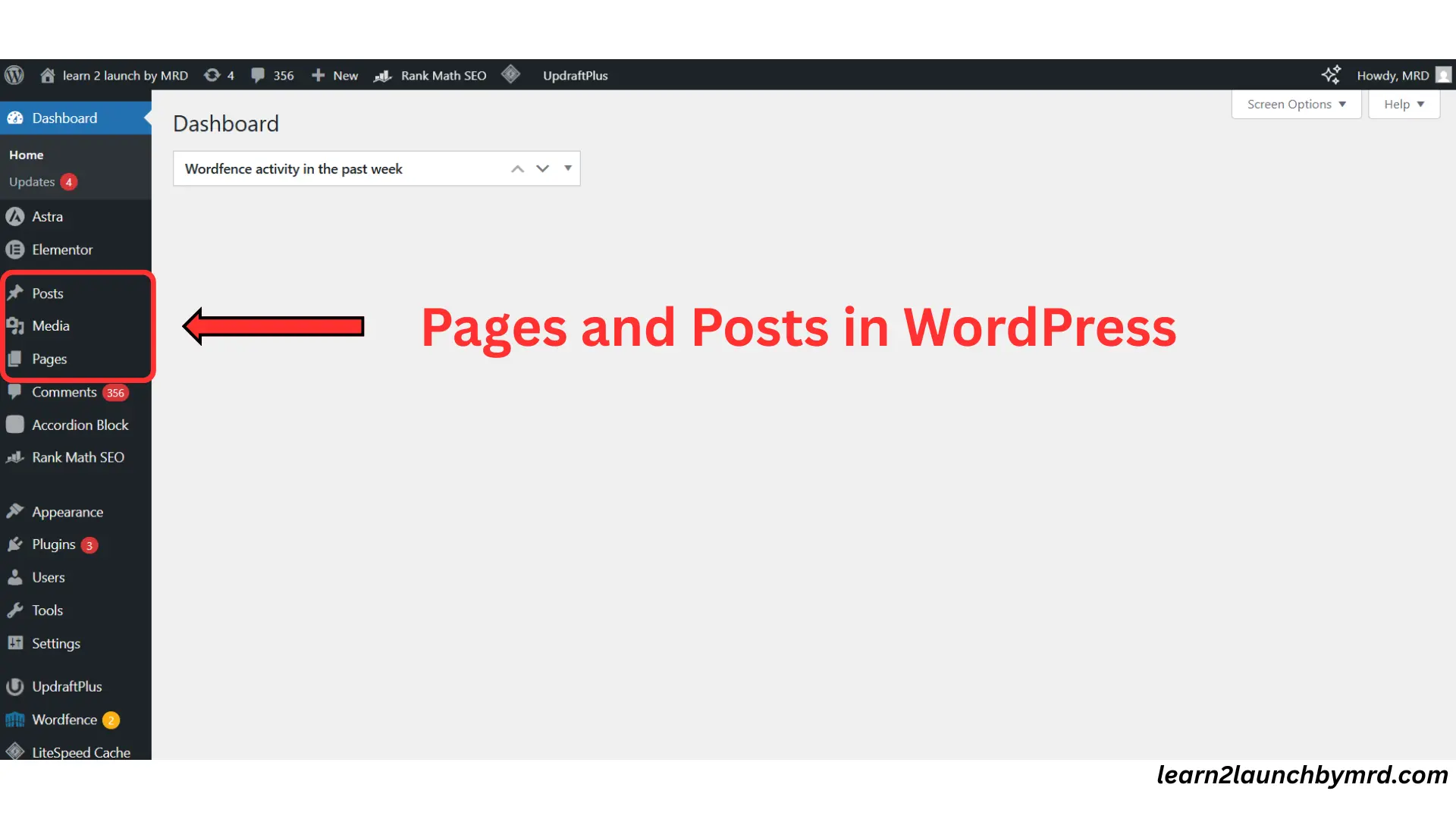 Pages and posts in WordPress