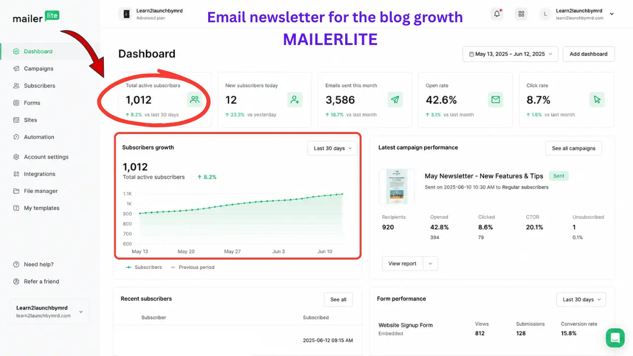 mailerlite-email-newsletter-dashboard-subscriber-growth