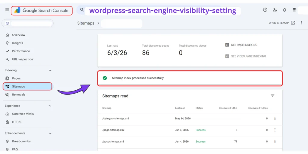Google Search Console sitemap submission screen showing a successfully submitted XML sitemap.