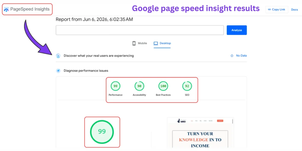Website performance report showing page speed metrics and Core Web Vitals results.