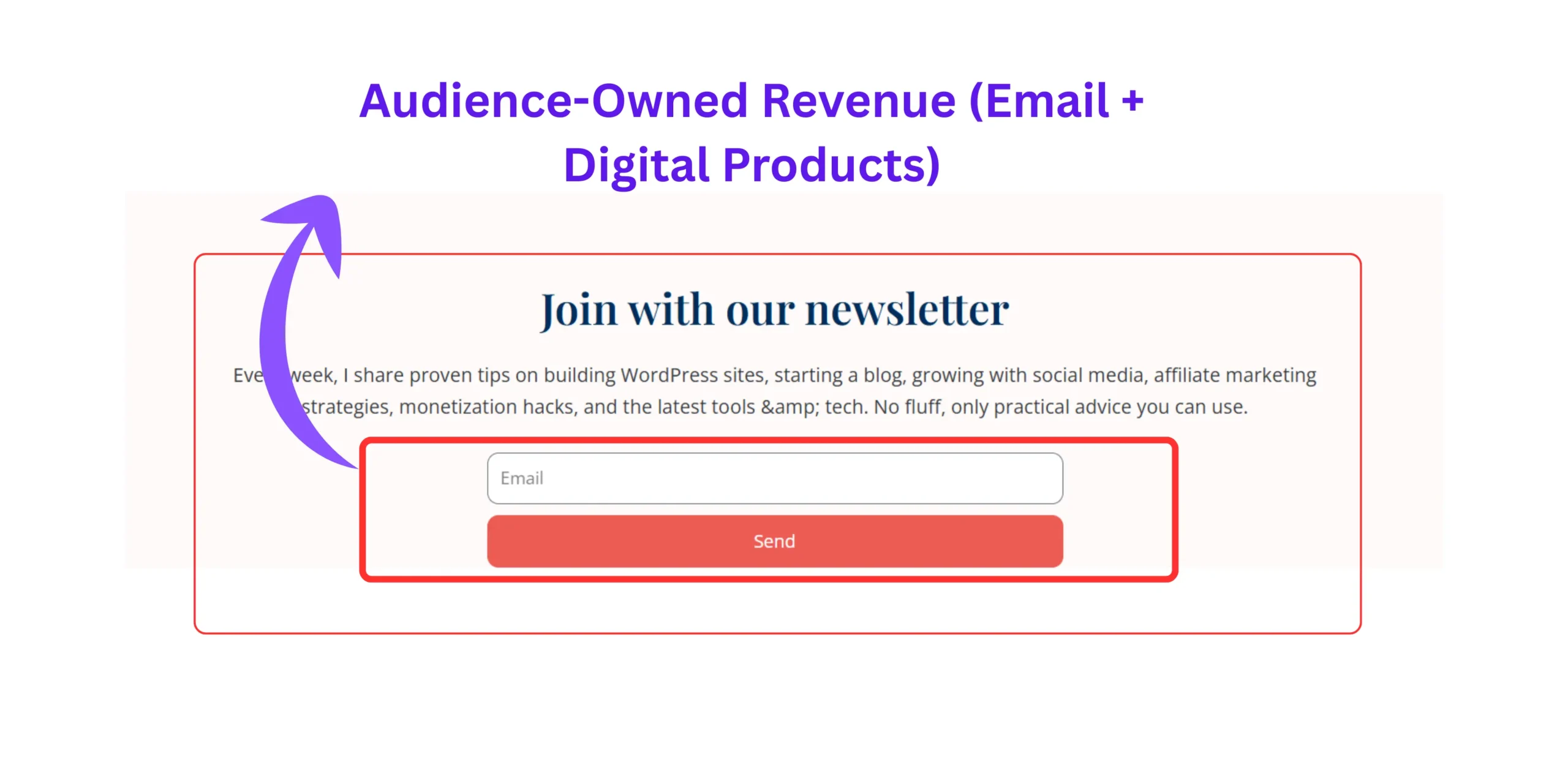 Email marketing dashboard showing subscriber growth and campaign management for audience-owned blog monetization.