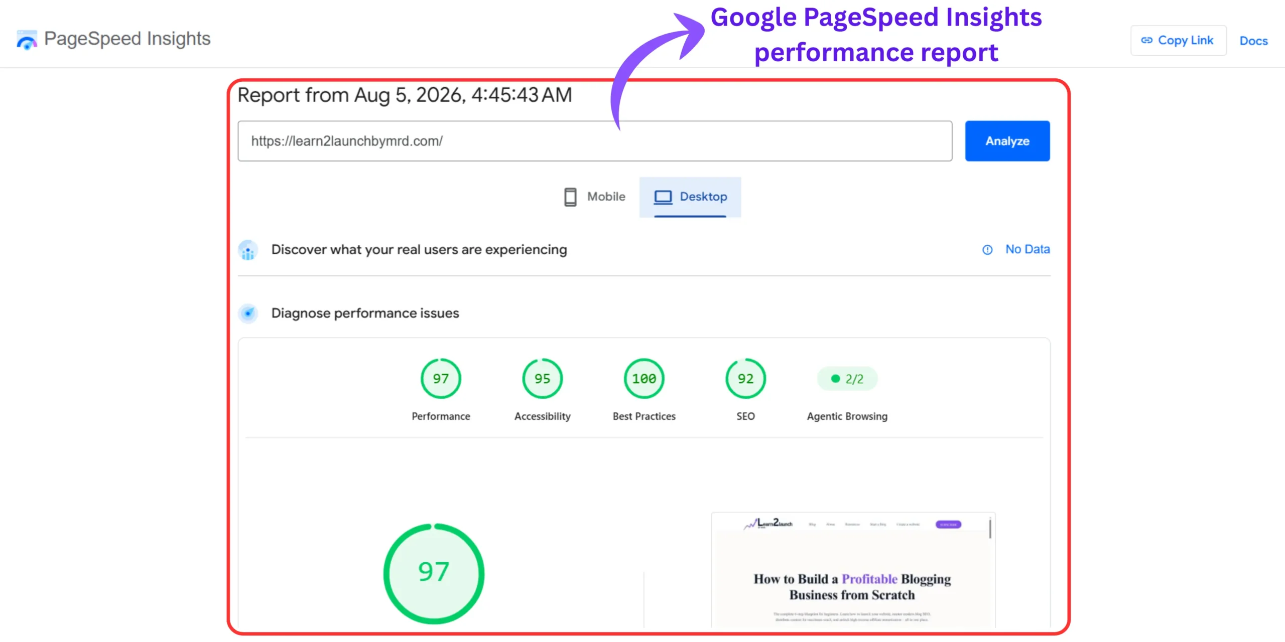 Google PageSpeed Insights performance report evaluating the loading speed and Core Web Vitals of a WordPress homepage.